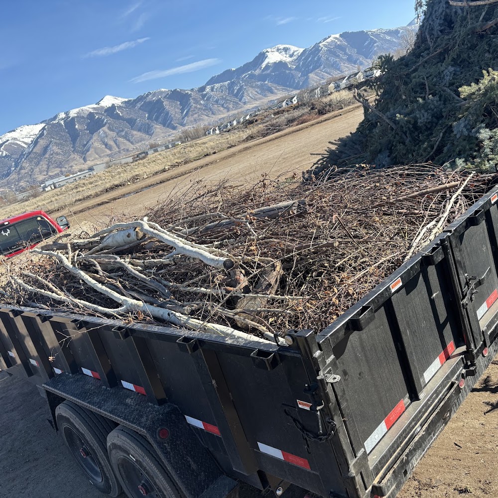 Brush and yard waste hauled away